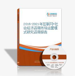 2016-2021年互联网+社会经济咨询市场运营模式研究咨询报告